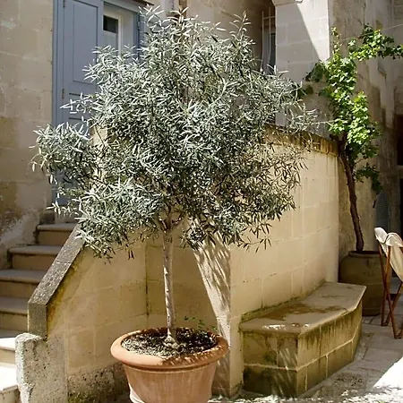 Il Cortile ベッド・アンド・ブレックファスト マテーラ